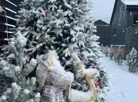 Shahdag Berghoff House