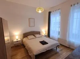 Grand appartement de charme rénové au cœur de Troyes