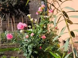 Il giardino di Borgo Nuovo