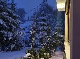 Vila Garden River Jahorina - Sarajevo