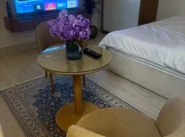 استديو مودرن فندقي