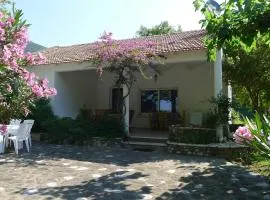 Villa Goitia