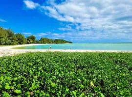 Natura Nikao Beachside 3BM Villa