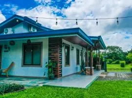 House Monstera Arenal
