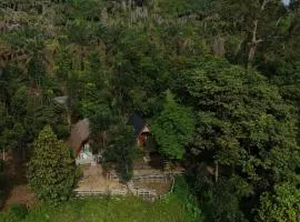 Green Forest Tangkahan