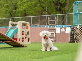 Chuncheon Dogandstay