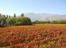 Tipaume Boutique Vineyard Farm Stay, hotel in Rengo