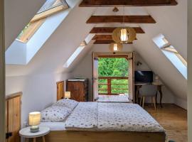 The Village Cottage, hotel i Ocna de Jos