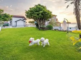 Yeosu Dangdangi Dog Family Pension Gold