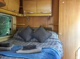 Cozy and chic, close to the Catlins