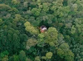 Forest hideaway in Onsen town with music studio