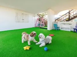 Taean anmyeondo hwangdo ilmare Pension