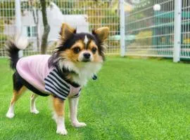 Hongcheon byeolkaem kidspulbilla