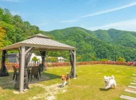 Gapyeong camp with pet & aegyeonglamping