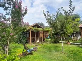 Tiny houses Genacvale