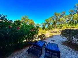 Les Restanques Glycines 2067