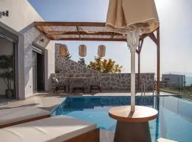 Villa Petalouda -Private pool Marvelous Views of the Ionian Sea