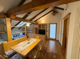 Villetta rifugio tra i larici