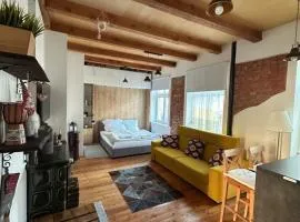 Vintage Modern Apartment Old Town Bratislava