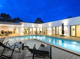 Villa Savrani by Istrialux, Hotel in Rudani