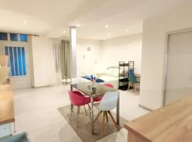 Cosy Camélia - T1 - Hypercentre avec Patio