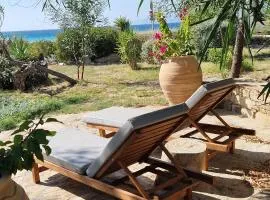 Beachfront Ios Villa