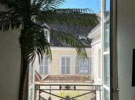 Le Laurencin Sens - La Plage - Cœur de ville