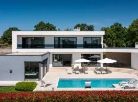 Modern villa Blanka with pool and grill in Tinjan