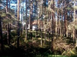 Apartment 9 Gorska Vila