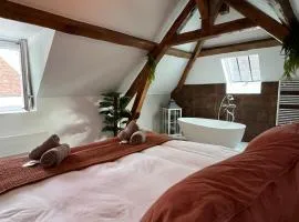 Le Laurencin Sens - Le Duplex - Cœur de ville