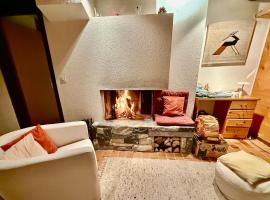 21 8s Beautiful apartment 4 peoples, hotel i Gryon