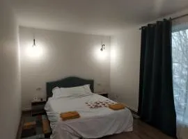 Studio ultracentral stefan cel mare