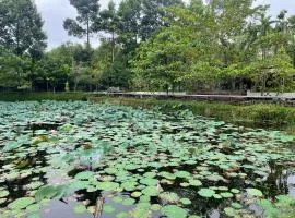 Nhà Sen Phước Hải