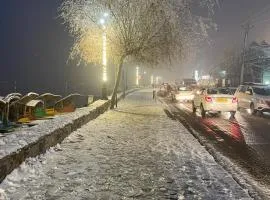 Dallake group of Houseboats