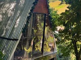 Eco Amigo el Rincón