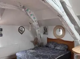 Swee Home Proche de la gare Orléans et Fleury