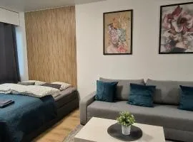 Huge 5room apartment in center of Oulu