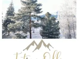 Apartments Tatra Olla - Tatranská Lomnica