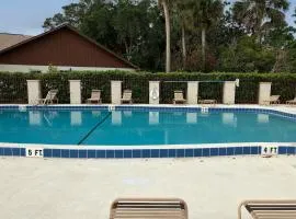 Port Orange Palm Tree Reverie