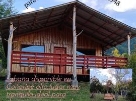 Cabaña Buena vista, hotel in Coñaripe