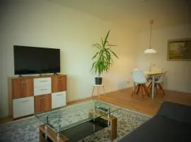 Panoramablick vom Rodenberg