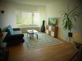 Panoramablick vom Rodenberg