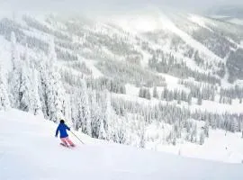 European Schweitzer Mountain Chalet with Hot tub