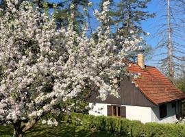 Chata nad řekou Otavou, Hotel in Vojníkov