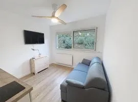 Studio avec canapé lit 2 places dans pièce de vie et lit une place dans coin nuit