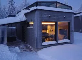 Levi Lapland Luxury Igloos D