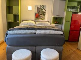 Gemütliches Zuhause über den Dächern der Altstadt, khách sạn ở Burghausen