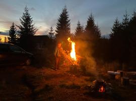 Adriana Phoenix's Bird, hotel a Horezu