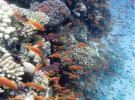 Aqua Star Diving Center