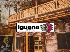 Iguana hostels Montañita